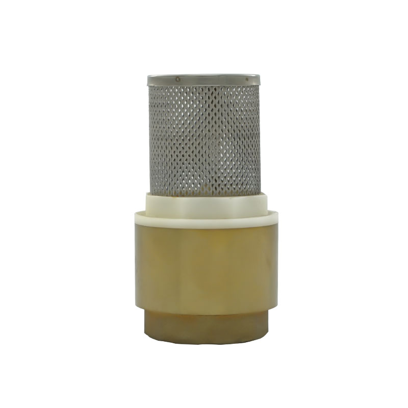 Brass Check Valve